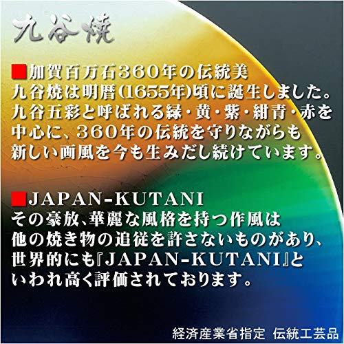 Amazon.co.jp: 九谷焼陶額富士陶器日本製ブランド伝統工芸【作家谷敷